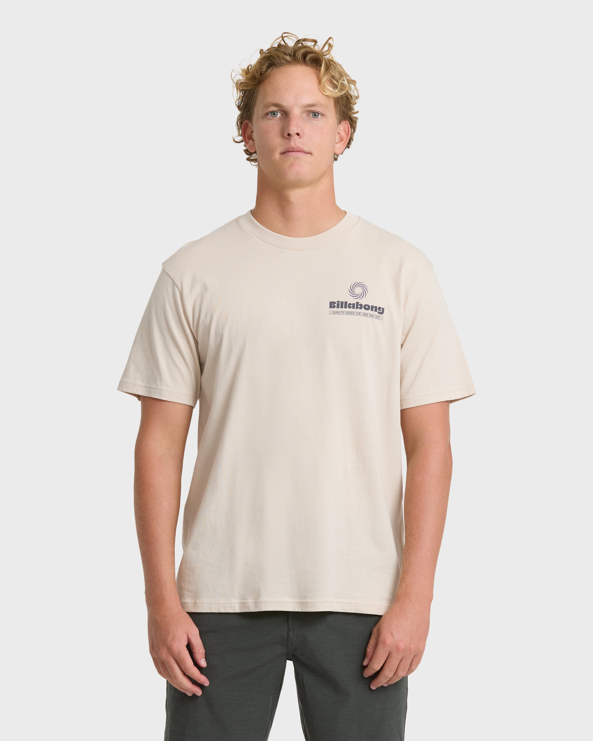 Single Fin Premium Short Sleeve T-Shirt - Oatmeal | Billabong