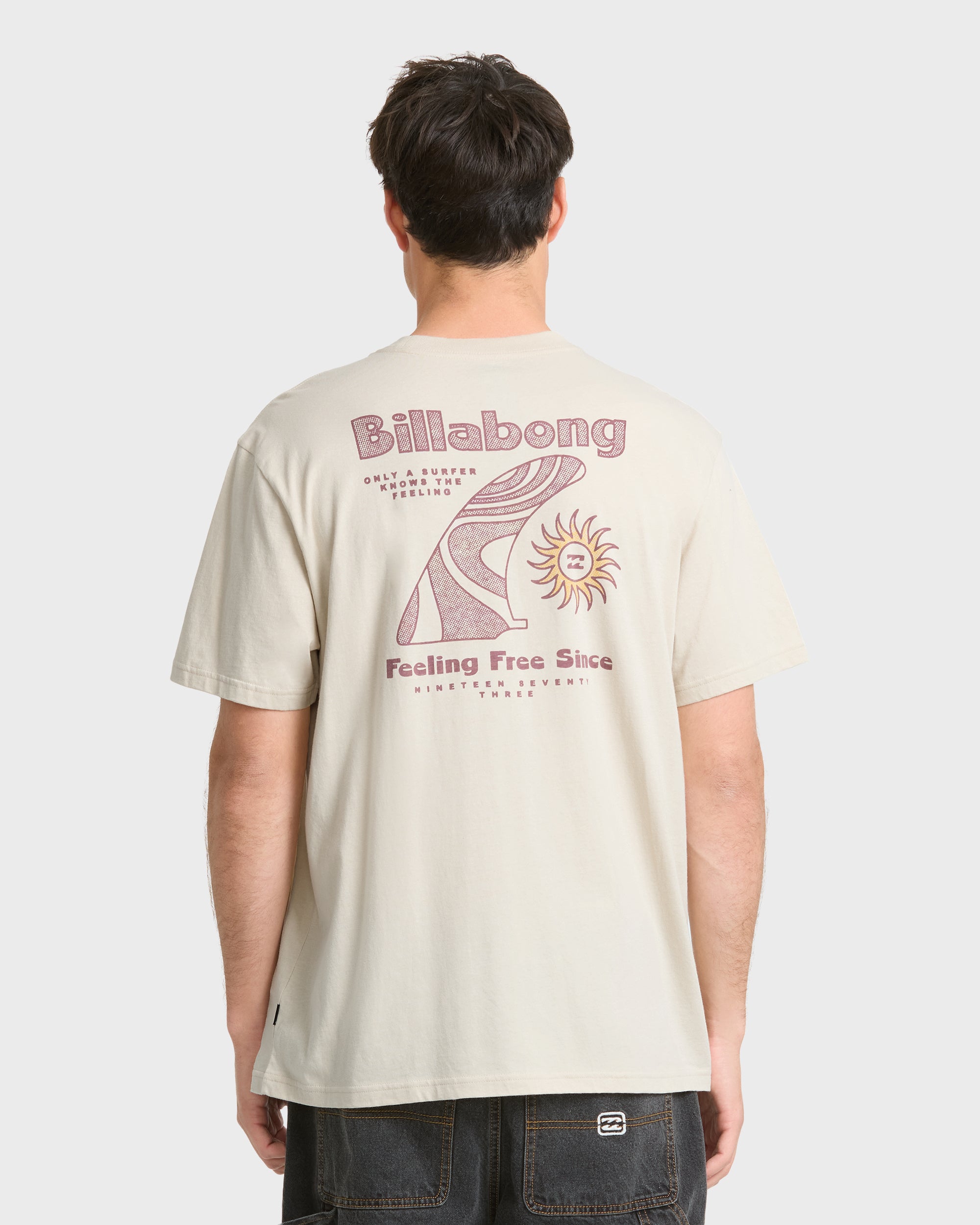 Single Fin Premium Short Sleeve Knit T-Shirt - Oatmeal | Billabong
