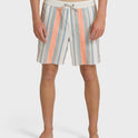 Good Times Layback 16" Trunks - Multi