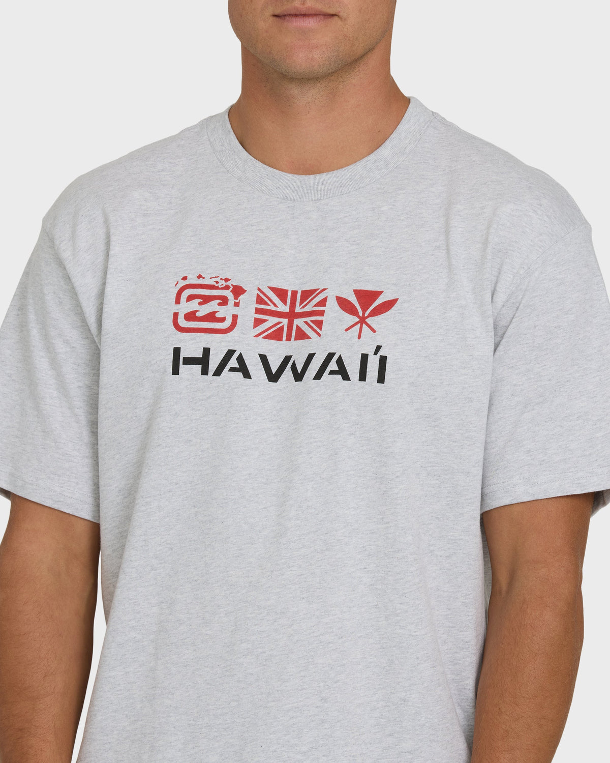 Heather gray short sleeve tee with red and black Hawaii graphic print on chest.