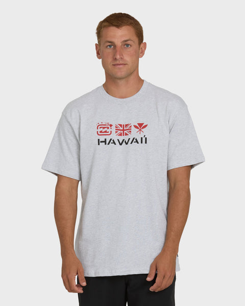 Kahili Hawaii Regular Short Sleeve Tee - Heather Gray | Billabong