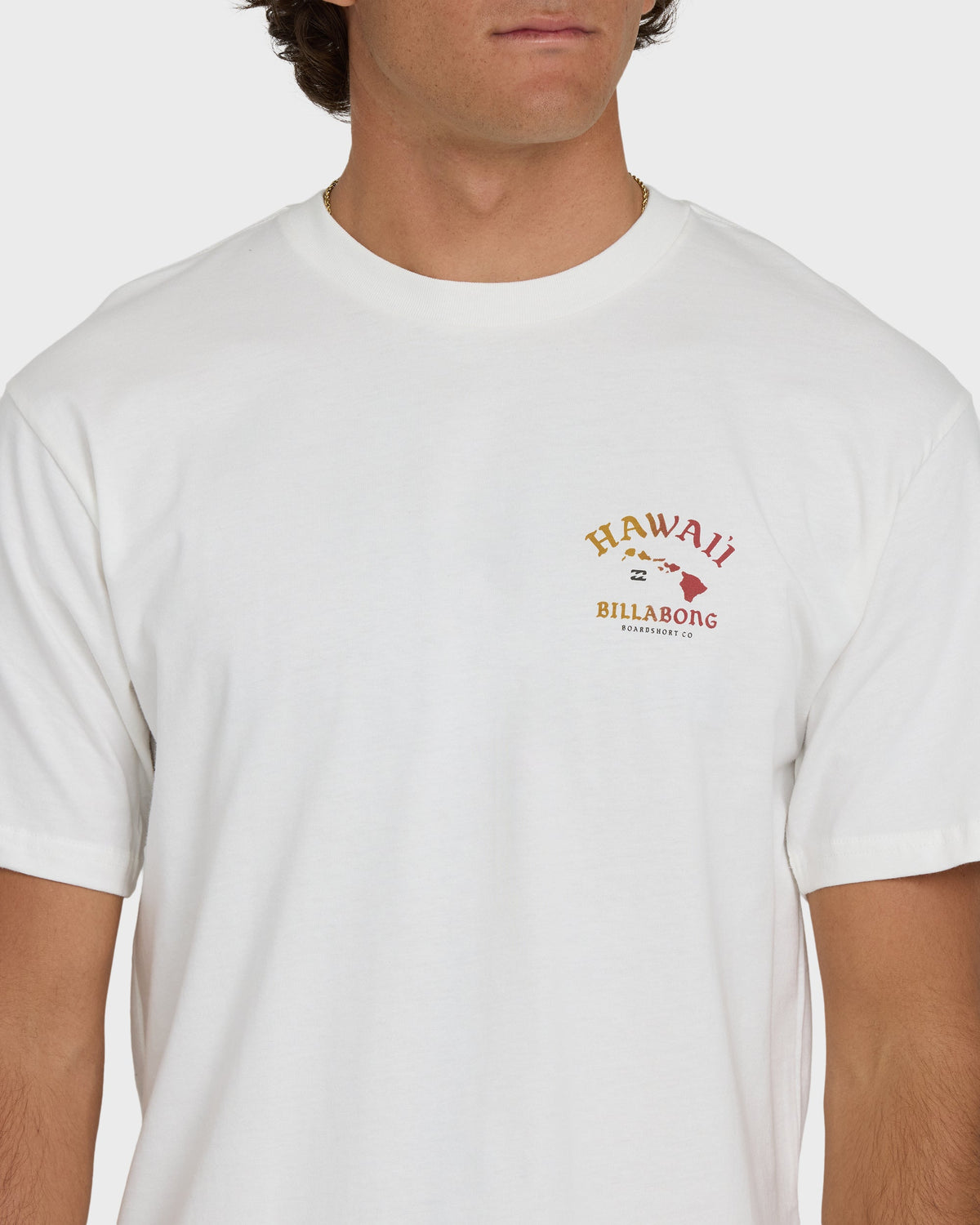 Off-white short-sleeve tee with Hawaii island map and Billabong logo on chest.