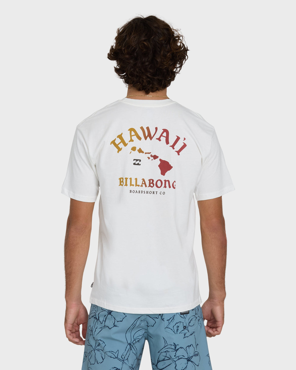 Off-white short-sleeve tee with Hawaii island map and "Billabong" text printed on back.