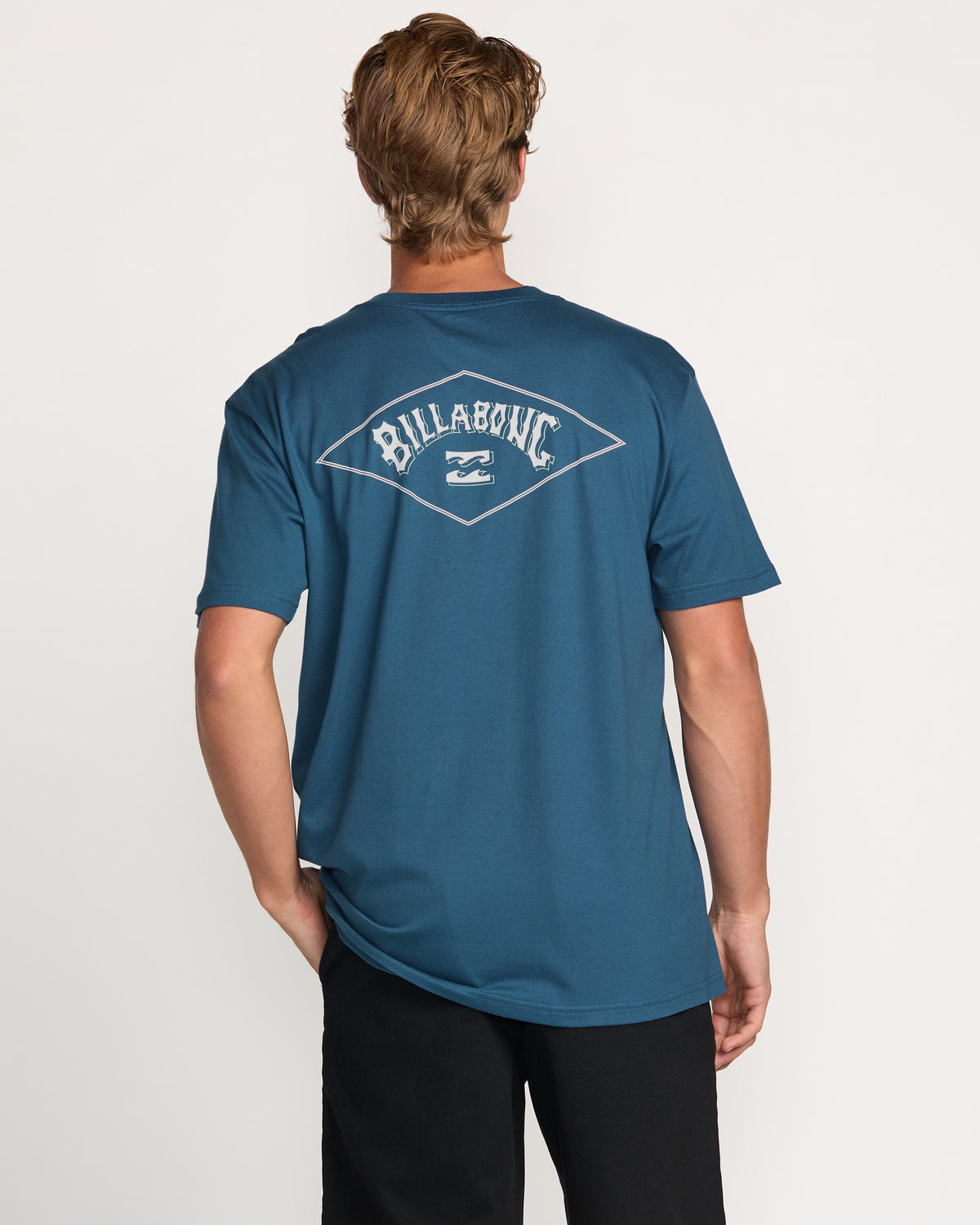 Diamond Arch Premium Tee - Dessert Palm - 2