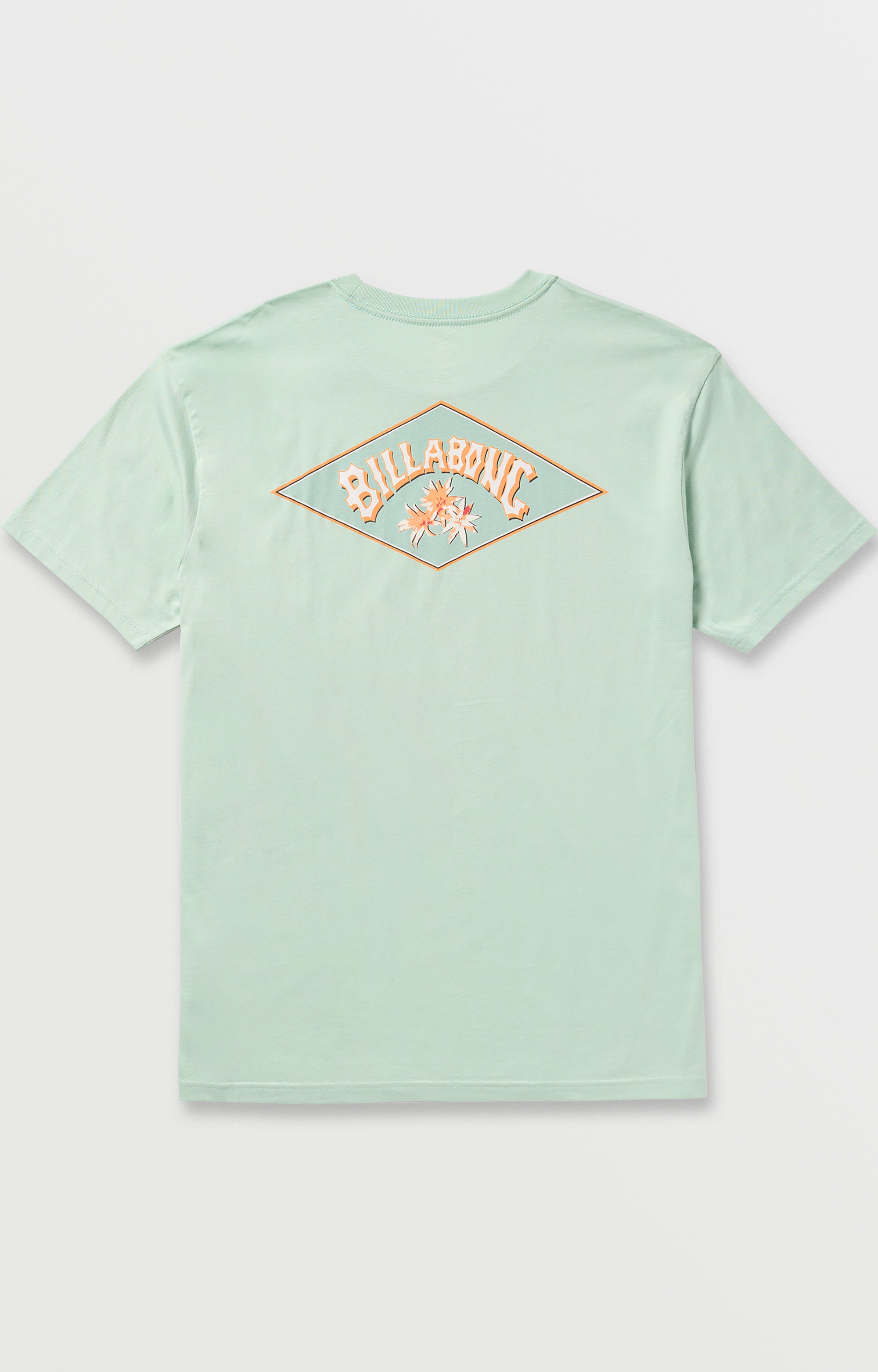 Diamond Arch Premium Tee - Seafoam | Billabong