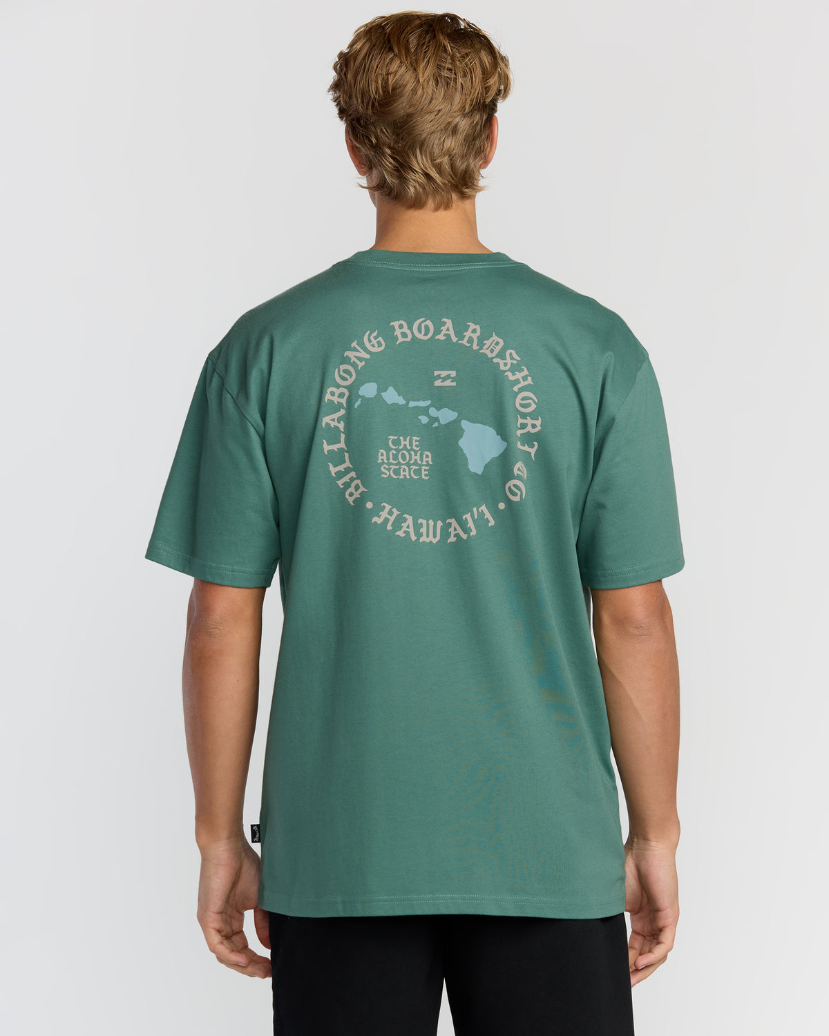 Aloha-Island-Hi-Regular-Tee-Sage-Green-2
