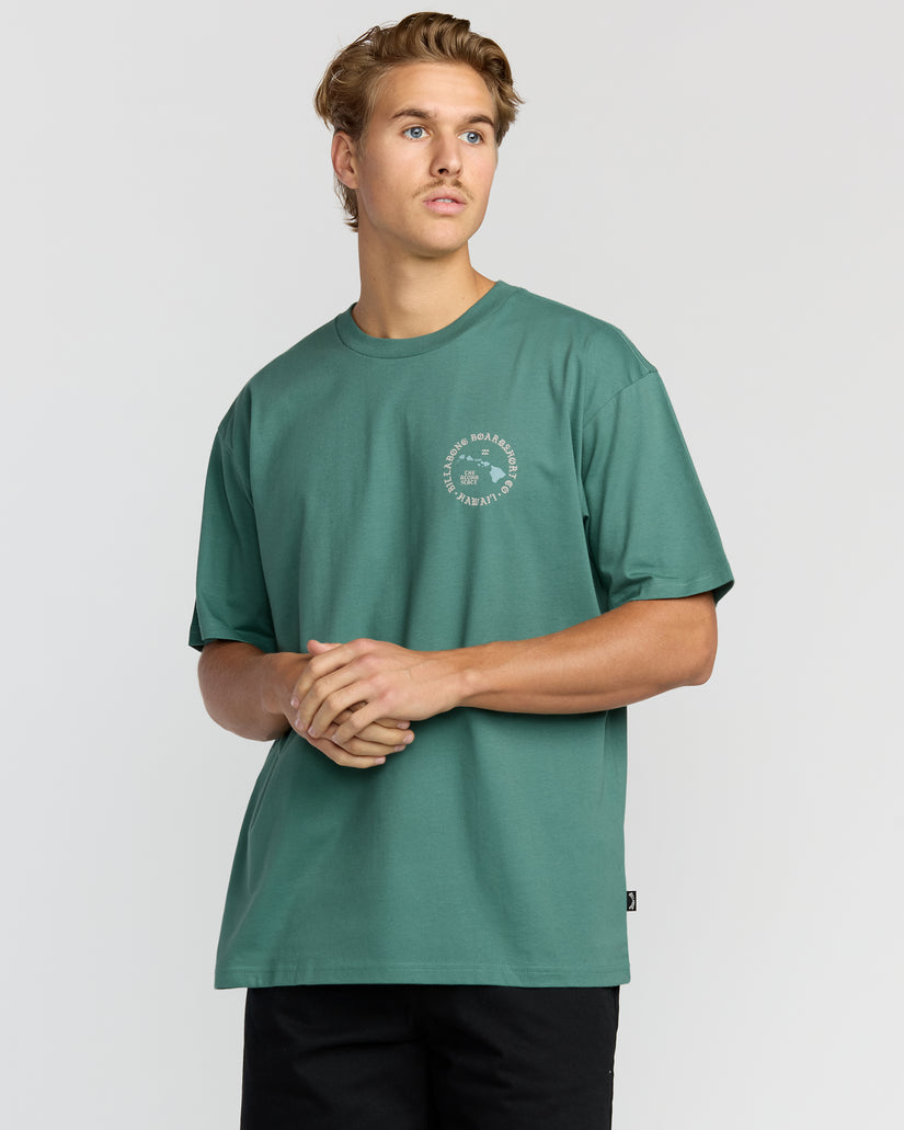 Aloha-Island-Hi-Regular-Tee-Sage-Green-1