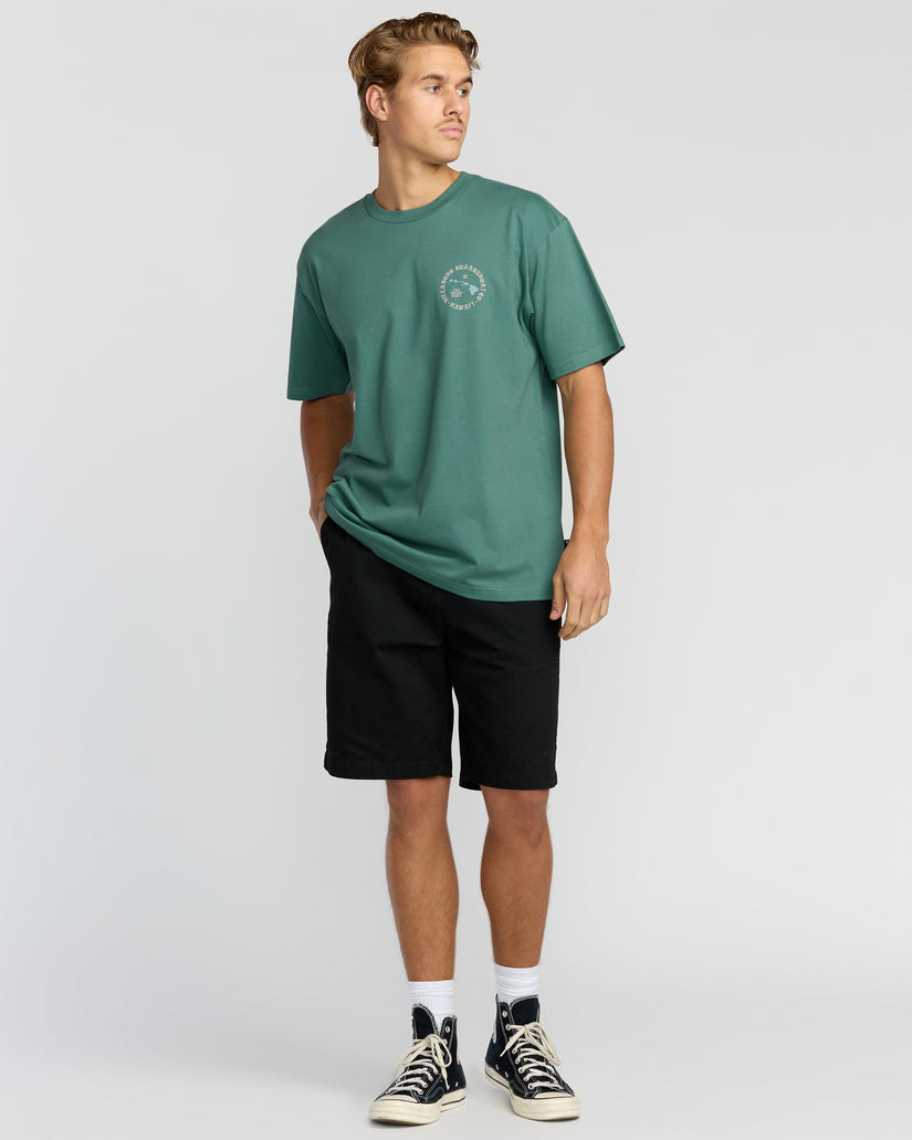 Aloha-Island-Hi-Regular-Tee-Sage-Green-4