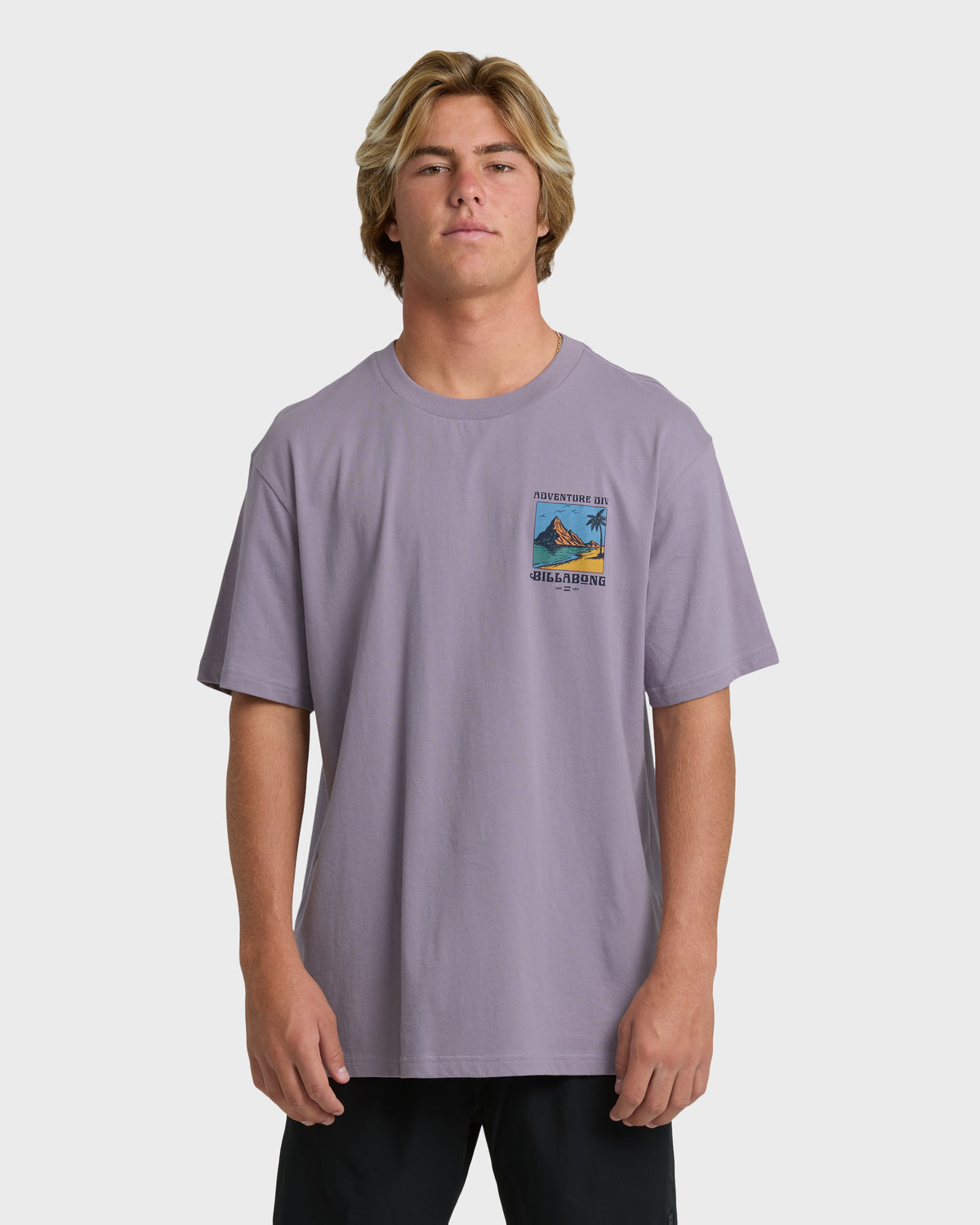 POST-CARDS-ADIV-PREMIUM-SS-PURPLE-ASH-1