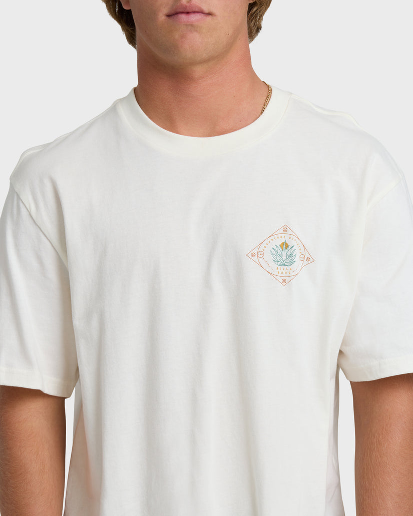 AGAVE-ADIV-PREMIUM-SS-OFF-WHITE-5