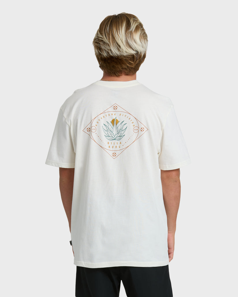 AGAVE-ADIV-PREMIUM-SS-OFF-WHITE-2