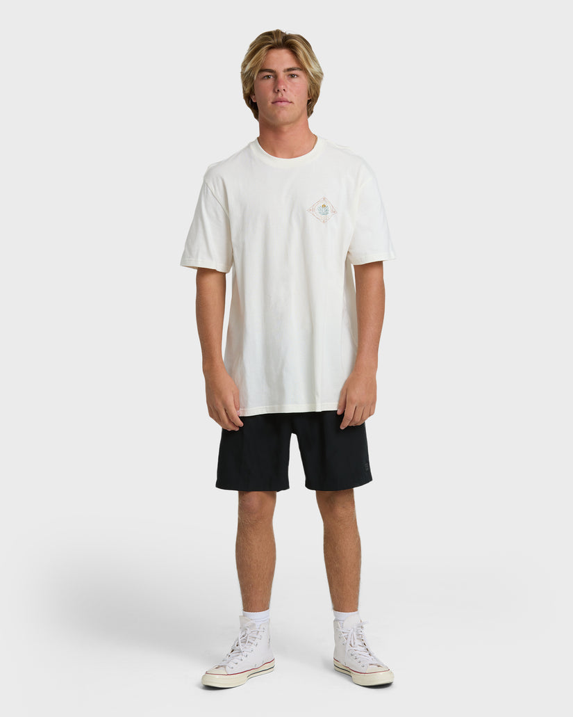 AGAVE-ADIV-PREMIUM-SS-OFF-WHITE-4