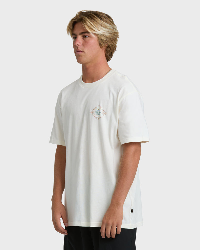 AGAVE-ADIV-PREMIUM-SS-OFF-WHITE-3