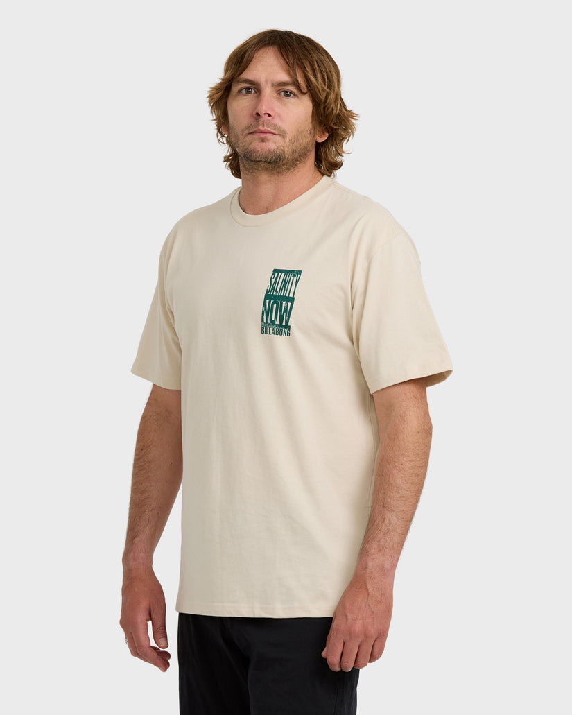 Salinity-Now-Regular-Short-Sleeve-T-Shirt-Chino-3