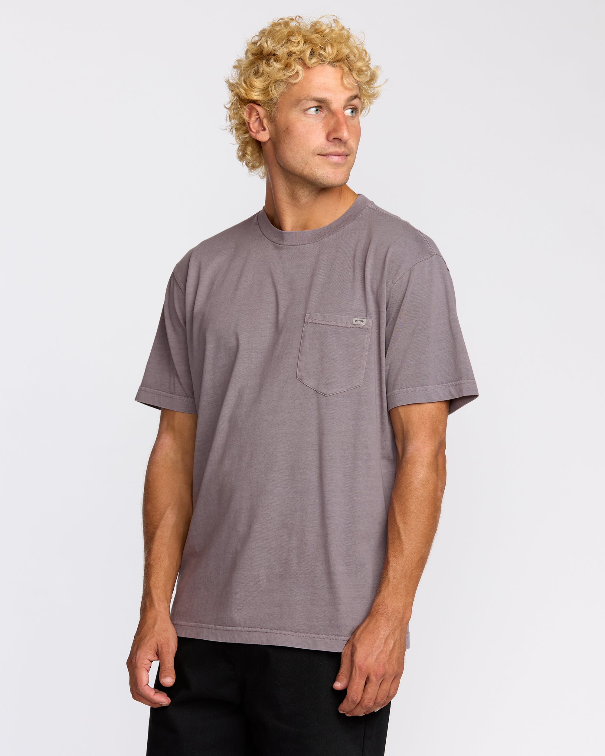 VIA PIAVE 33 Tシャツ グレー Essential Premium Wave Wash T-Shirt - Grey Violet | Billabong