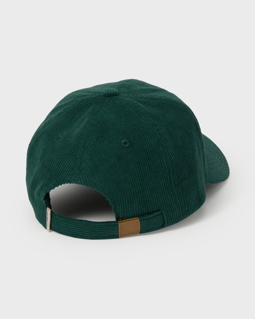Dad-Cap-Hat-Alpine-4