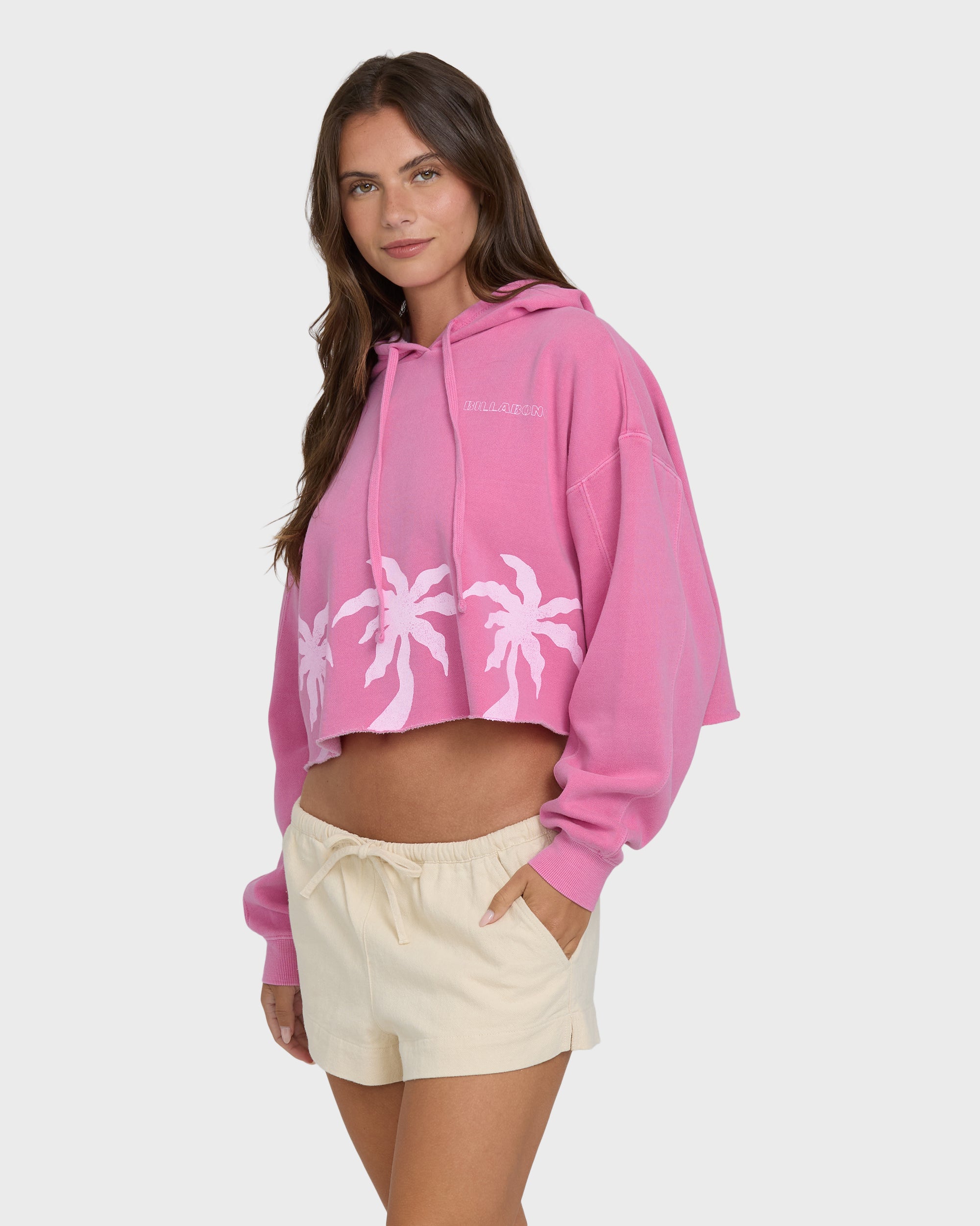 Palmer Hood Pullover Hoodie - Guava | Billabong