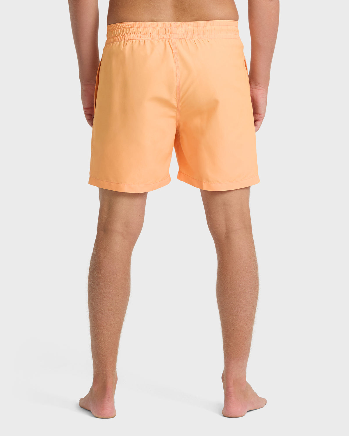 BL000536M_PCH1_OM-B.jpg