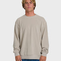 Torched Crewneck Sweatshirt - Dove