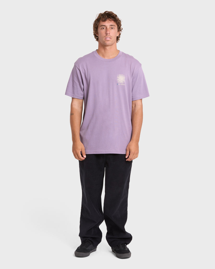 MONTAGE-PREMIUM-SS-PURPLE-ASH-3