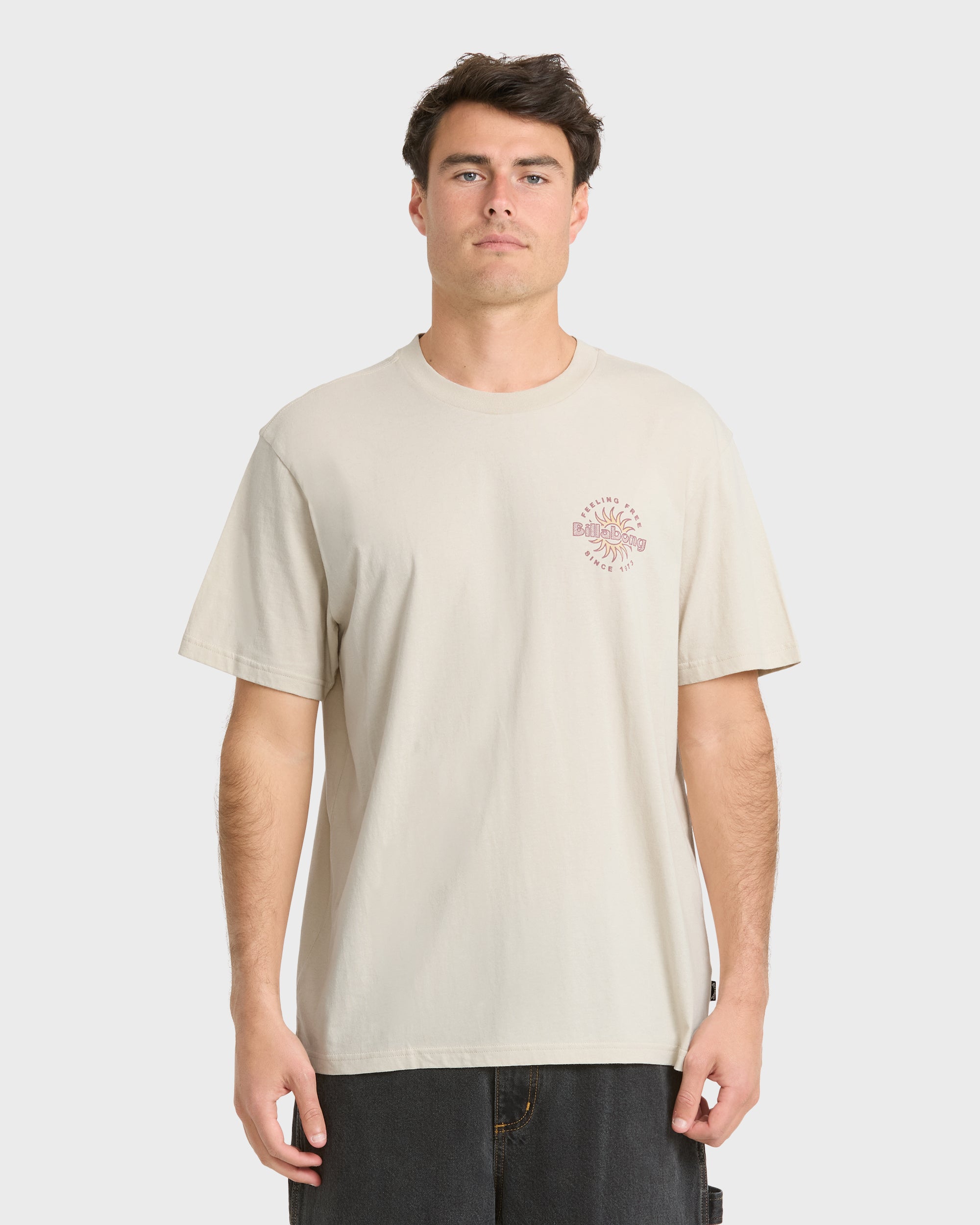 Single Fin Premium Short Sleeve Knit T-Shirt - Oatmeal – Billabong