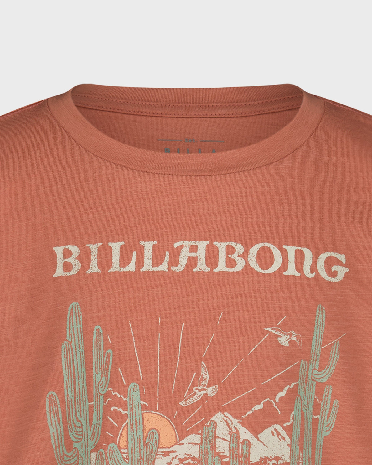 Brown t-shirt with Billabong logo and cactus design on a white background