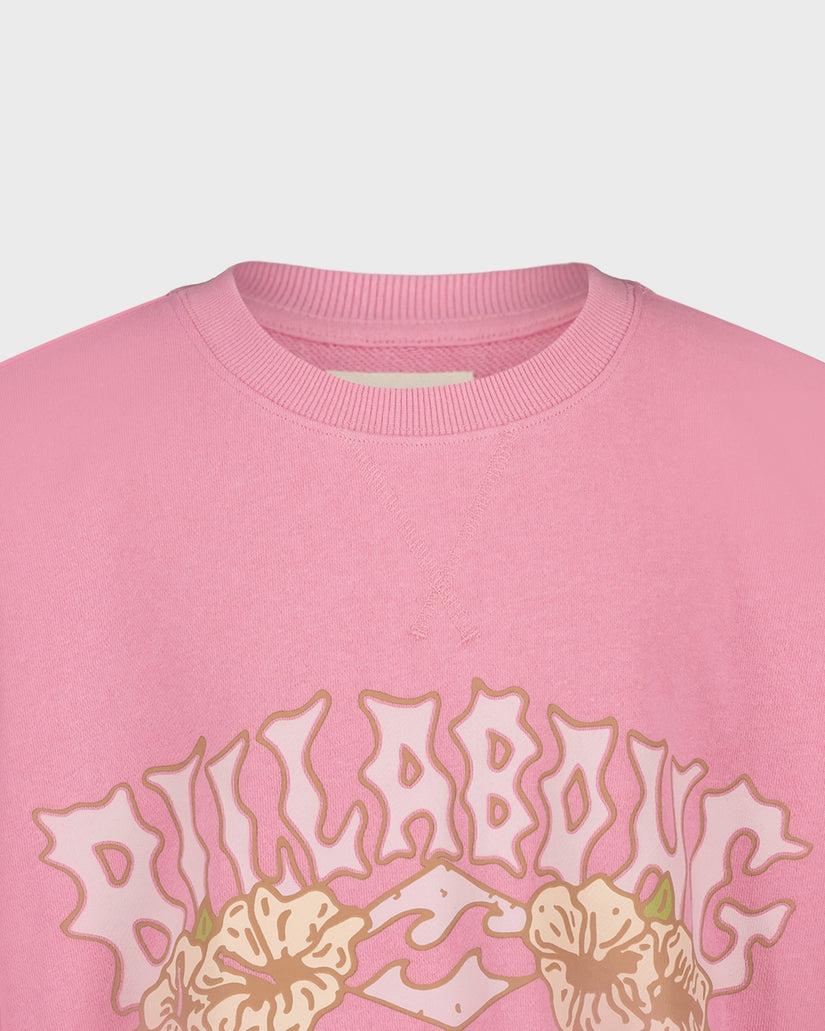 Pink sweatshirt with 'Billabong' logo and floral designs on a light gray background