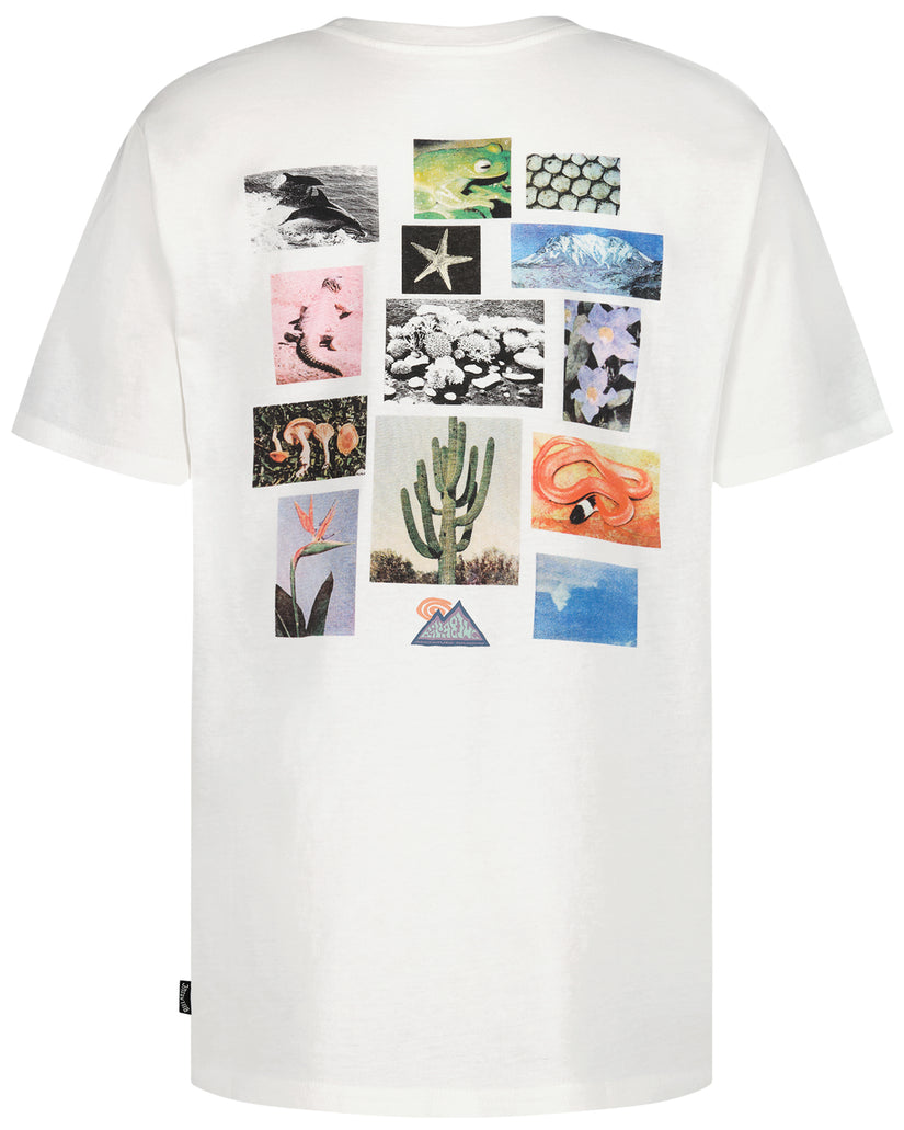 White short sleeve t-shirt with collage of nature photographs including whale, cactus, flowers, starfish, and mountain on bac