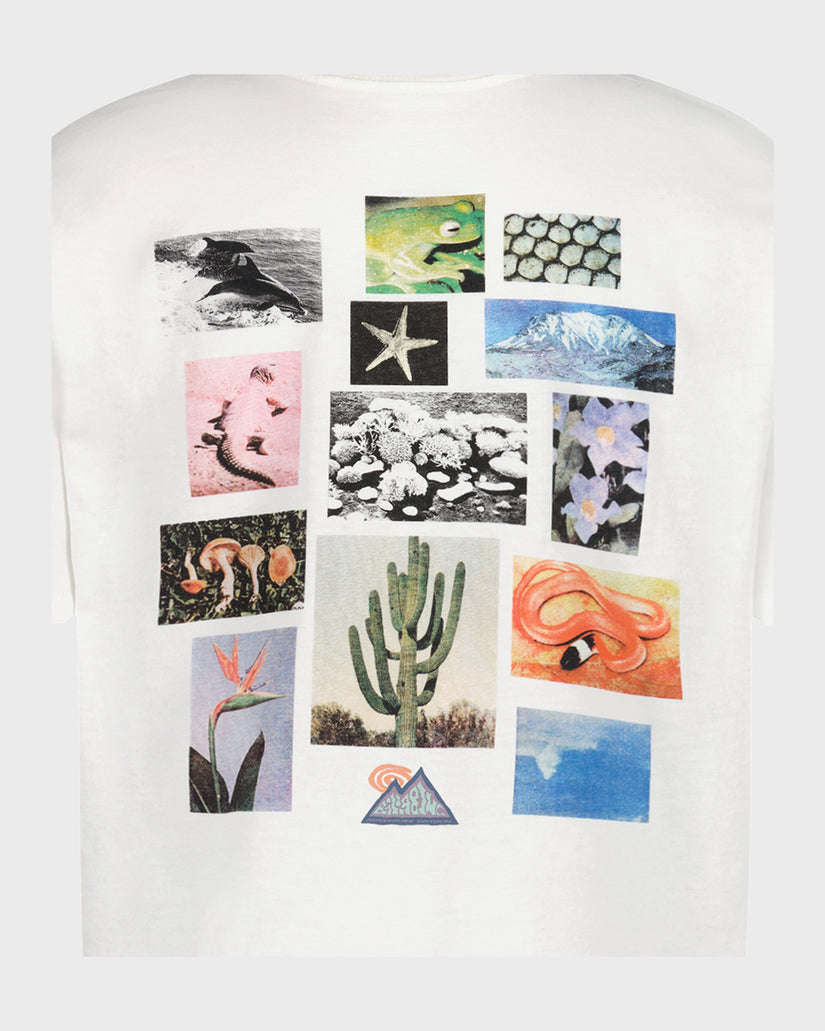 Boys Moments Short Sleeve T-Shirt
