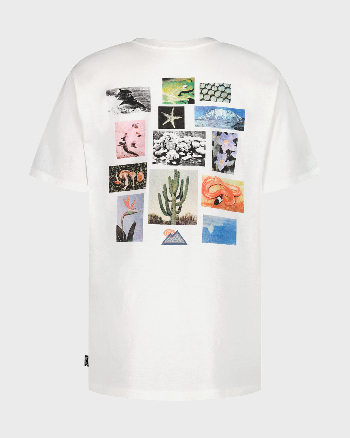 White short-sleeve t-shirt with collage of nature photos including bird, snake, starfish, cactus, and landscape images printe