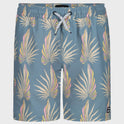 Boys Lineup Layback Trunks