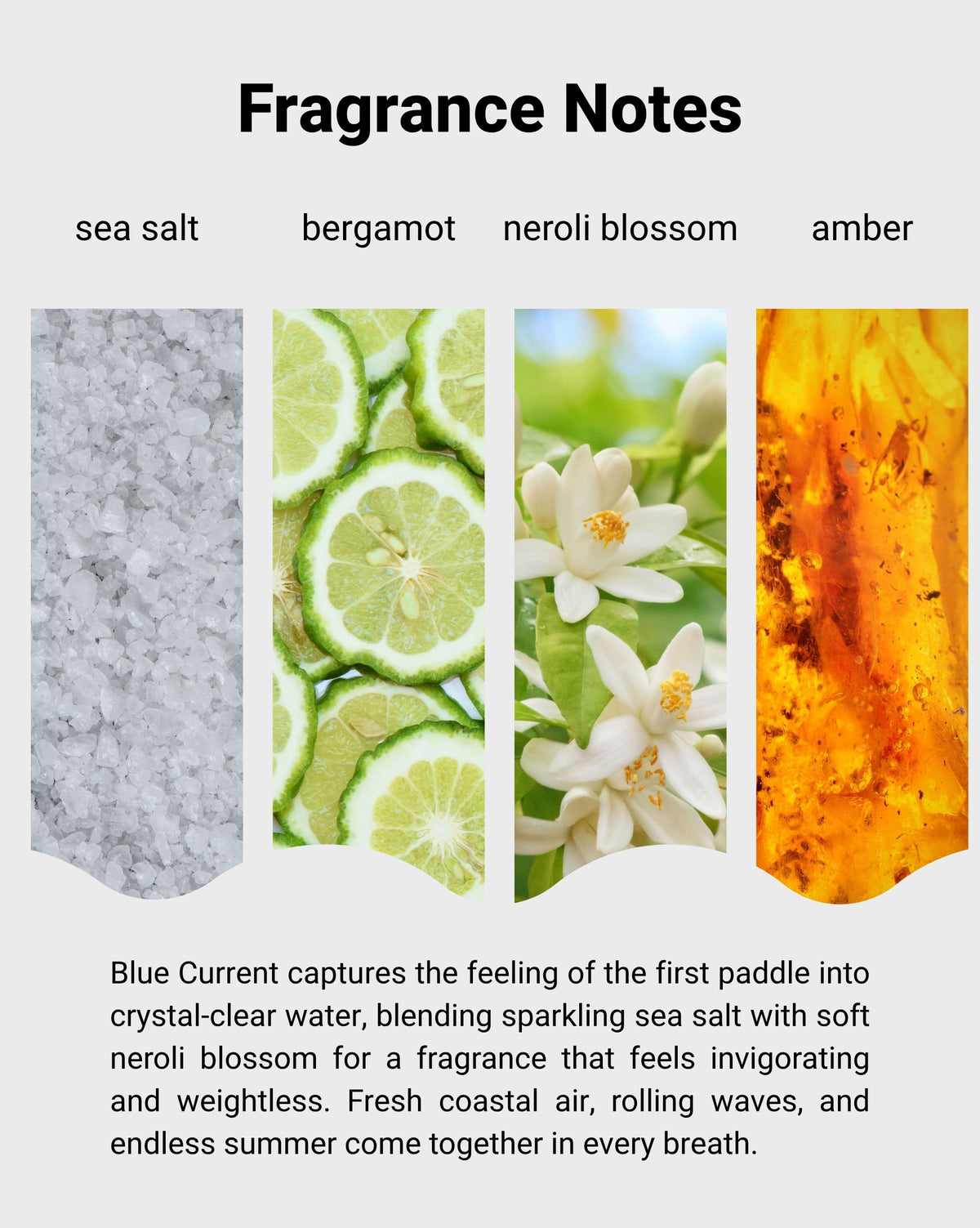 
Blue Current Reed Diffuser