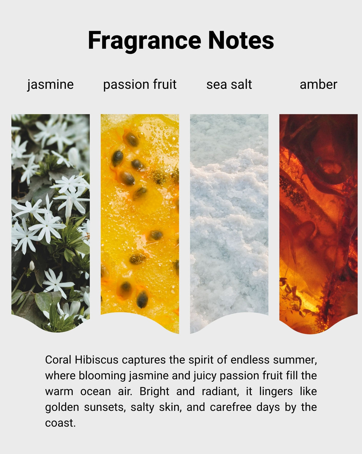 
Coral Hibiscus Soy Candle