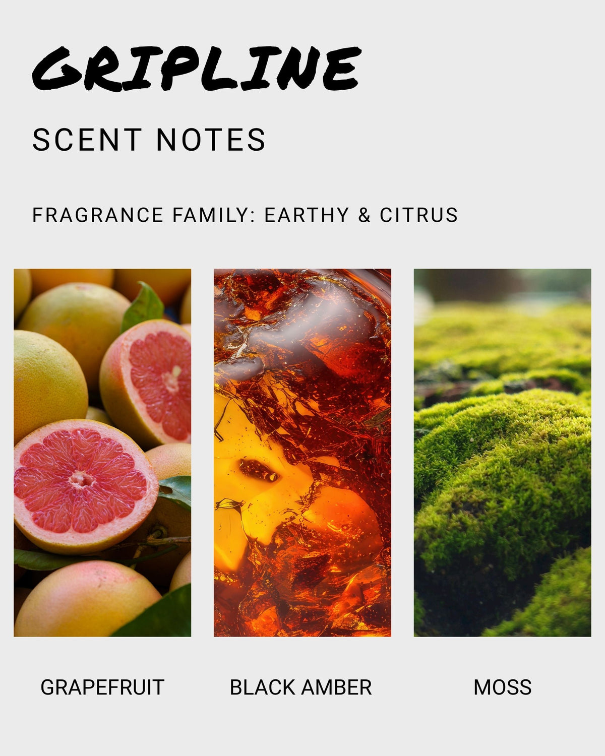 Gripline body wash scent notes showing grapefruit, black amber, and moss fragrance components.