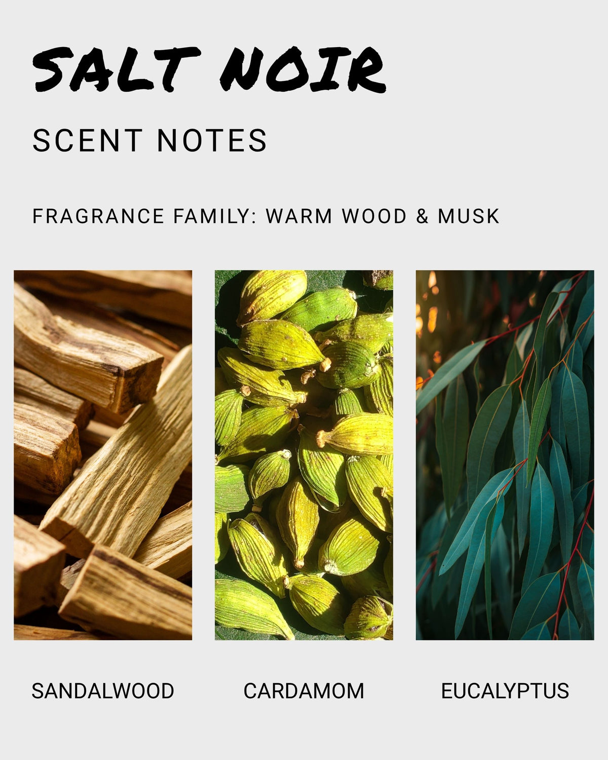 Salt Noir solid cologne with warm wood and musk fragrance, featuring sandalwood, cardamom, and eucalyptus scent notes.