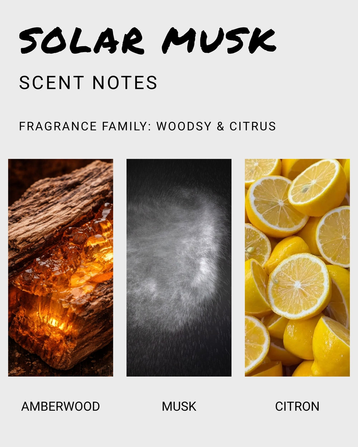 Solar Musk solid cologne scent profile showing amberwood, musk, and citron fragrance notes.