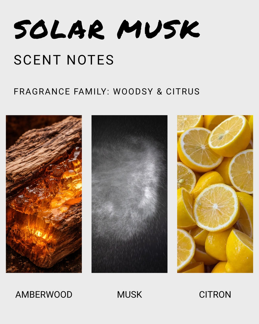 Solar Musk Dude Spray