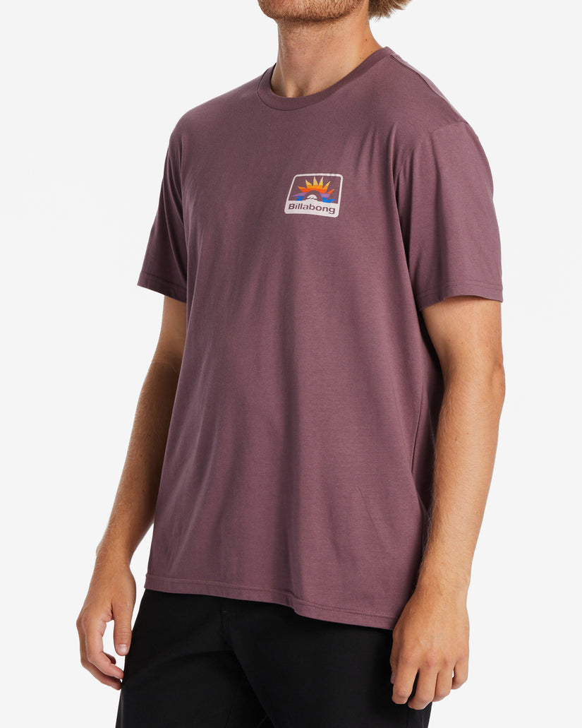 Walled T-Shirt - Vintage Violet – Billabong.com