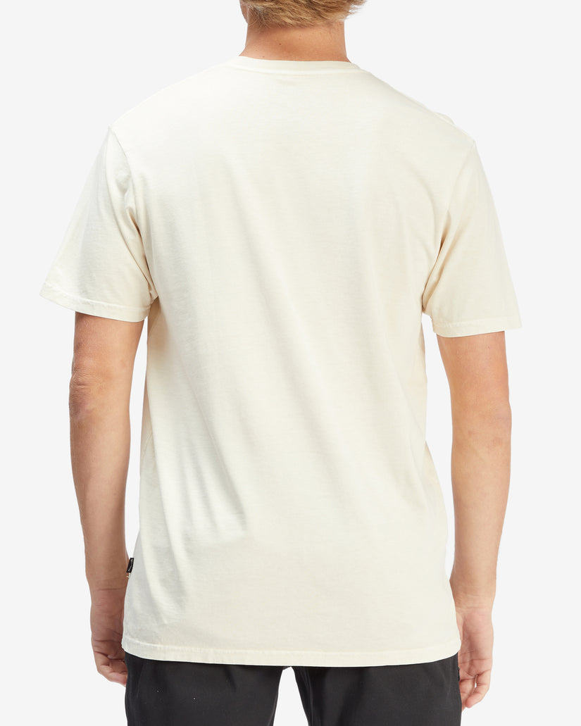 Essential Wave Washed Short Sleeve T-Shirt - Bone – Billabong